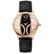 Balmain B1479.32.62