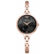 Adriatica A3761.917MQ