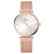 Pierre Ricaud P22096.91R3Q