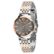 Guardo 012736-5 (RgsB)
