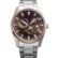 Orient RA-AK0313Y30B