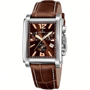 Festina F16081/8